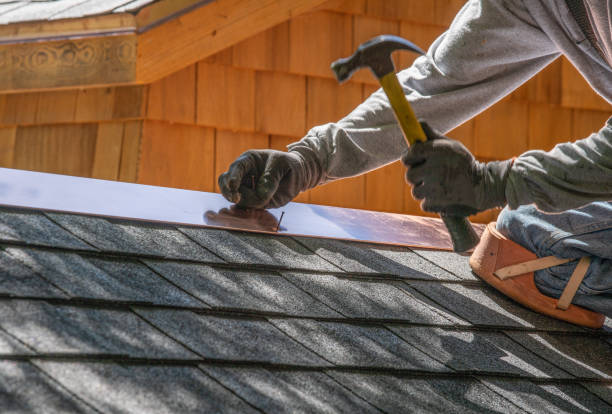 Best Gutter Installation and Repair  in Guntersville, AL
